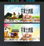 土鸡蛋