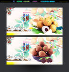 桂圆