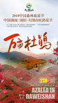 大围山杜鹃花节广告