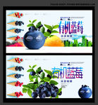 蓝莓海报
