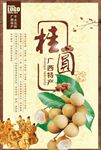 龙眼 桂圆 桂圆干 桂圆肉