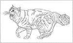猫咪线描 猫咪白描 猫咪素描