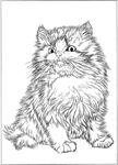 猫咪线描 猫咪白描 猫咪素描