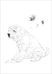 名犬线描 名犬白描 名犬素描
