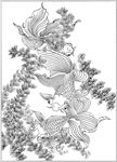 连年有余 鲤鱼线描 金鱼线描