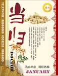 材海报 当归当归 中药宣传素材