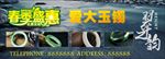 翡翠 手镯 宝石 玉镯 镯子
