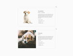 网页 banner web 网