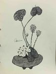 花绘素描  花插图