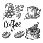 咖啡手绘素描设计素材