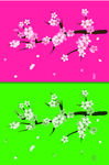 花瓣