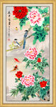 牡丹花
