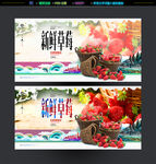 草莓采摘