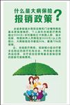 大病报销政策