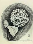 花绘插图