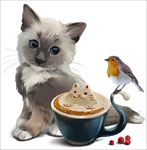 小猫