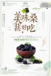 桑葚宣传促销海报