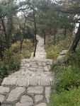 山东 临沂 沂蒙山 银座天蒙
