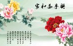 家和万事兴背景墙