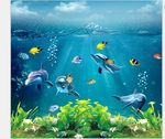 阳光四射海豚世界3D背景墙壁纸