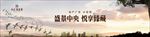 树 大树 别墅 城市 海鸥 白