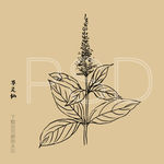 草灵仙