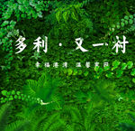 绿色植物背景