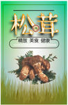 新鲜 松茸 海报