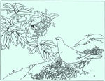 牡丹花线描 牡丹花白描 牡丹花
