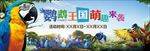 鹦鹉王国活动户外 桁架