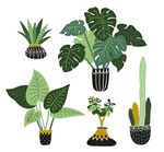 植物树叶盆栽仙人掌矢量素材