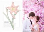 梦舞飞扬