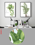 北欧小清新水彩植物装饰画