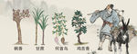 中医药文化