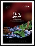 蓝莓