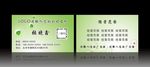 绿色名片