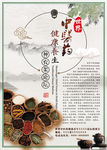 世界中医药健康养生论坛海报