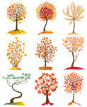 树彩色树设计艺术树木卡通植物素