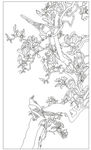 玉兰花鸟