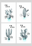 手绘仙人掌