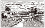 农家茶场