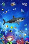 海底世界