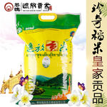 遮放贡米 大米