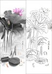 荷花鱼 清风