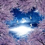风景画夜晚天顶吊顶画