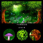 梦幻森林