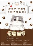 招聘猫奴