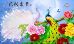 孔雀 花开富贵