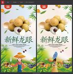 龙眼