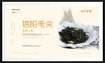 信阳毛尖